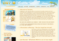 CLICK TO ENLARGE : Web Development : Tanzone